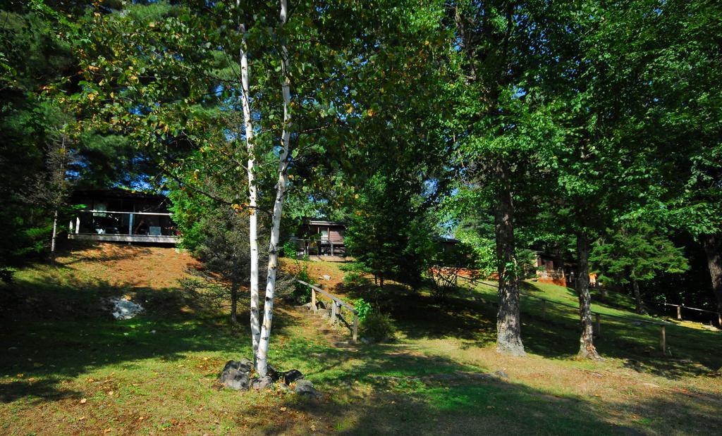 The Pines Cottage Resort Oxtongue Lake Exterior photo