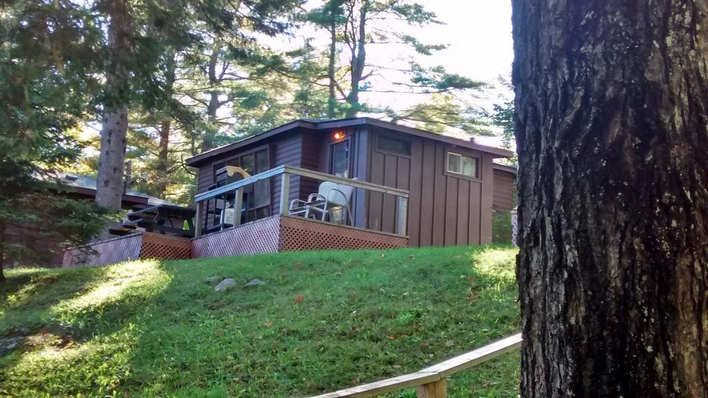 The Pines Cottage Resort Oxtongue Lake Room photo